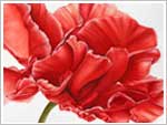 watercolor gallery
