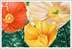 oil painting gallery