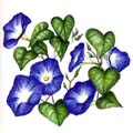 F010