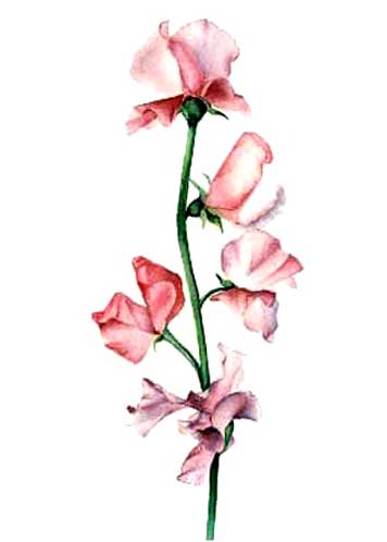 F006